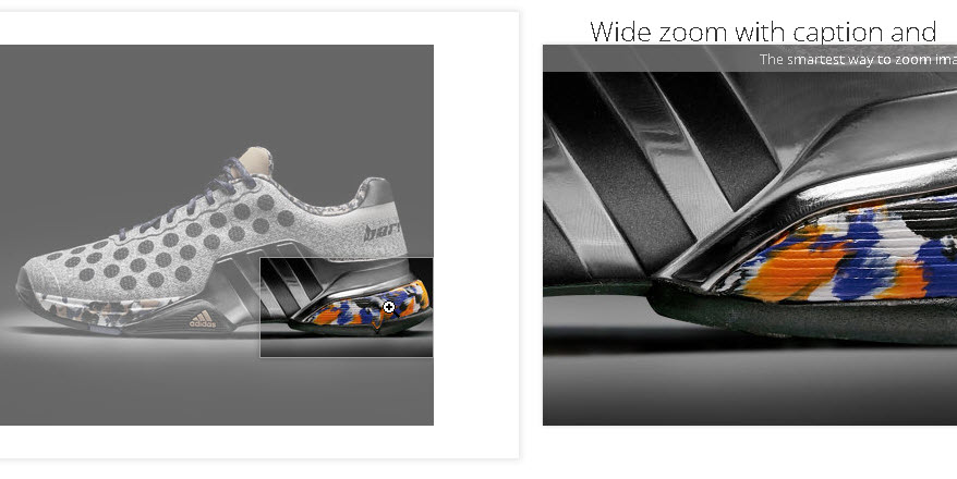 Artikel Zoom DEMO 1